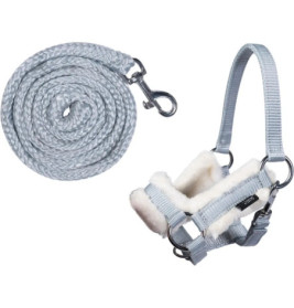 Hellblaue Führleine und passendes, weich gepolstertes Halfter mit Metallbeschlägen und Fleecefutter.