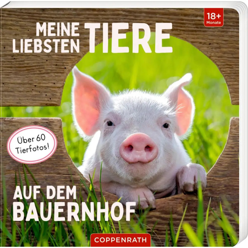 Ein Ferkel blickt durch einen Holzzaun auf dem Cover eines deutschen Kinderbuchs über Bauernhoftiere.