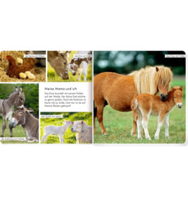 Meine liebsten Tiere auf dem Bauernhof