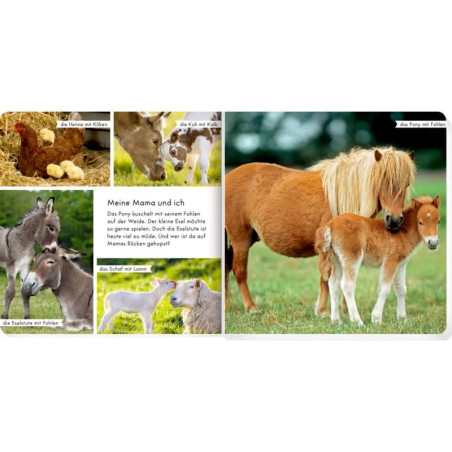 Meine liebsten Tiere auf dem Bauernhof