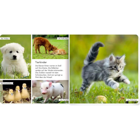 Meine liebsten Tiere auf dem Bauernhof