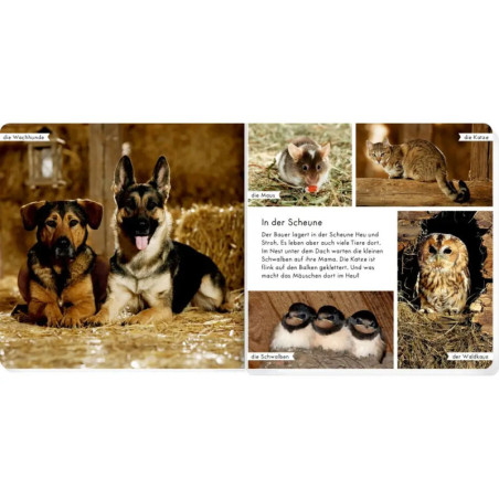 Meine liebsten Tiere auf dem Bauernhof