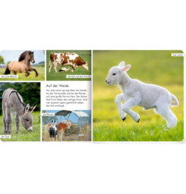 Meine liebsten Tiere auf dem Bauernhof