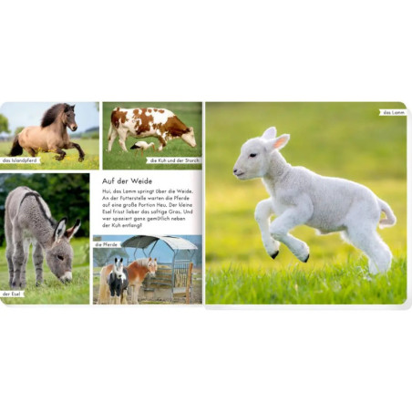 Meine liebsten Tiere auf dem Bauernhof