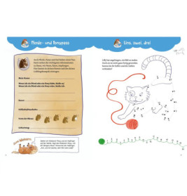 Conni Gelbe Reihe (Beschäftigungsbuch): Mein megatolles Vorschulbuch