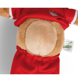 Kuscheltier FC BAYERN Bär Berni mit Trikot und Saugnapf NICI GREEN