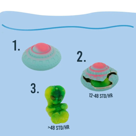 SPACE MAGIC GROWING, SORTIERT