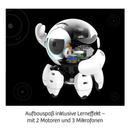Bitsy - Dein cleverer Robo-Freund