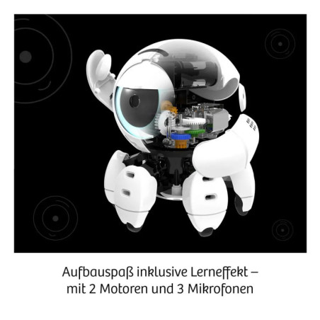 Bitsy - Dein cleverer Robo-Freund