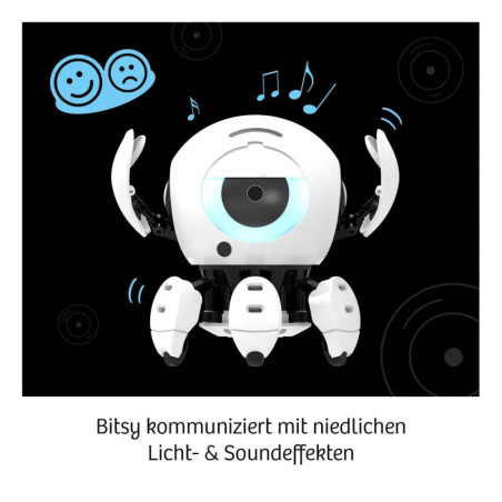 Bitsy - Dein cleverer Robo-Freund
