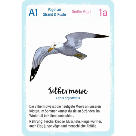 Expedition Natur Quartett Vögel