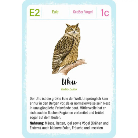 Expedition Natur Quartett Vögel