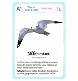 Expedition Natur Quartett Vögel