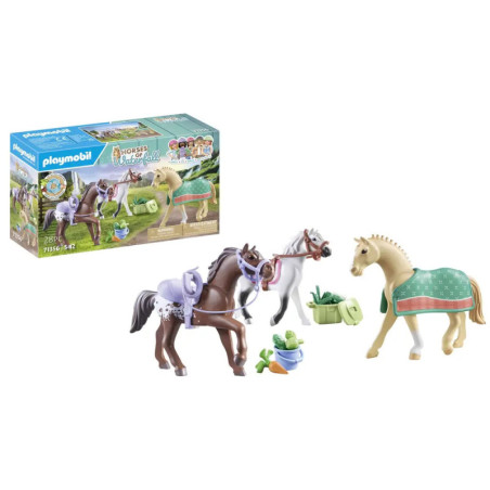 PLAYMOBIL 71356 3 Pferde: Morgan, Quarter Horse & Shagya Araber