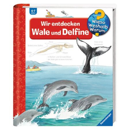 Kinderbuchcover auf Deutsch mit springenden Delfinen und dem Schwanz einer Wal über der Wasseroberfläche.