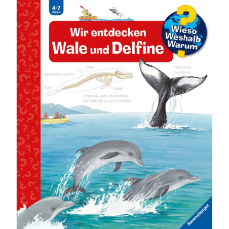 Ravenburger 32775 Wieso? Weshalb? Warum?, Band 41: Wir entdecken Wale und Delfine WWW-Standard (ab 01/06)