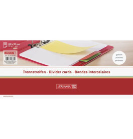 Trennstreifen 10,5x24cm ws