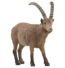 Ein brauner Steinbock mit langen, gebogenen Hörnern steht und blickt leicht nach rechts.