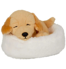 Plüschhund schläft in einem kleinen, weißen, flauschigen Haustierbett.