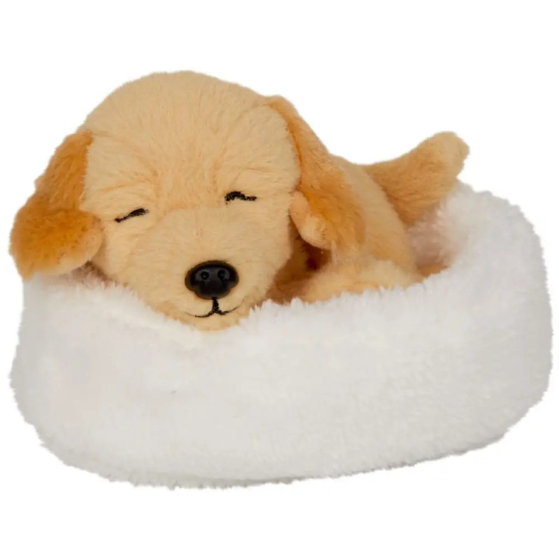 Plüschhund schläft in einem kleinen, weißen, flauschigen Haustierbett.