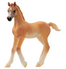 schleich® HORSE CLUB 13984 Araber Fohlen