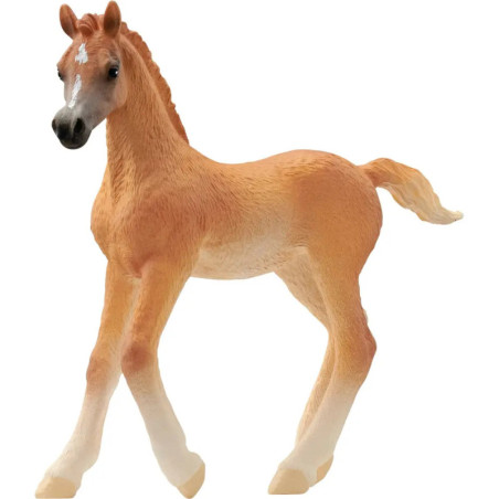 schleich® HORSE CLUB 13984 Araber Fohlen