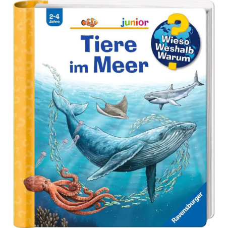 Kinderbuchcover mit Ozeantieren wie Wal, Hai, Rochen, Fischen und Oktopus unter Wasser.