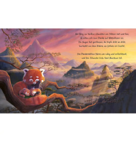 Kleine Pandas, grosses Versprechen