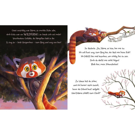 Kleine Pandas, grosses Versprechen Kleine Pandas, grosses Versprechen