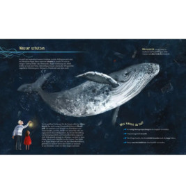 Wasser - Wo kommt es her? Wo fließt es hin?