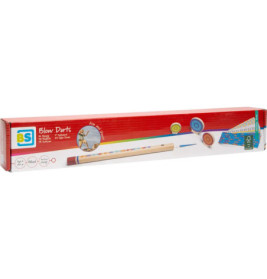 Blasrohr-Spielset in Schachtel mit bunten Zielen auf der Verpackung vor weißem Hintergrund.