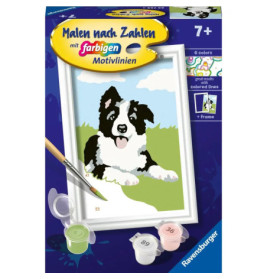 Malen-nach-Zahlen-Set: Schwarz-weißer Hund, Farbtöpfchen, Pinsel und gerahmtes Bild auf der Verpackung.
