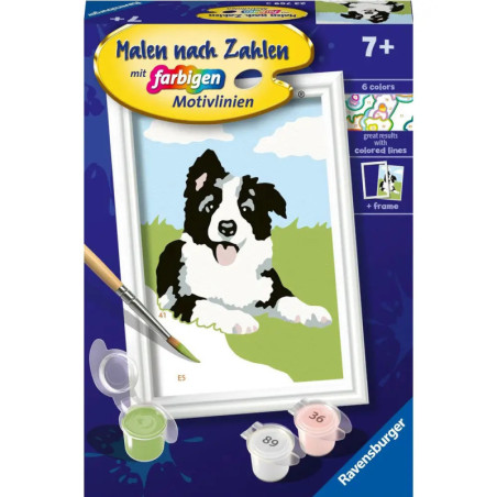 Malen-nach-Zahlen-Set: Schwarz-weißer Hund, Farbtöpfchen, Pinsel und gerahmtes Bild auf der Verpackung.