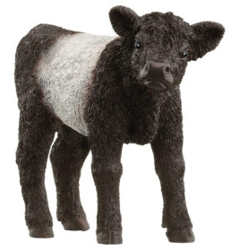 schleich® FARM WORLD 13969 Galloway Kalb