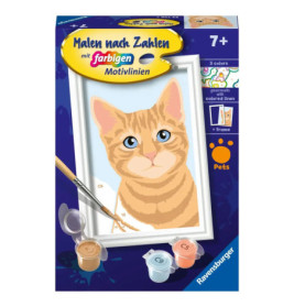 Ravenburger 23756 Malen nach Zahlen Niedliche Katze Malen nach Zahlen Serie F