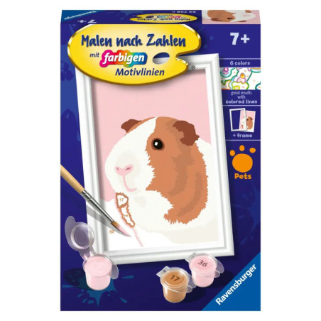 Malen-nach-Zahlen-Set für Kinder mit Meerschweinchenmotiv, Farbtöpfen und Pinsel auf der Verpackung.