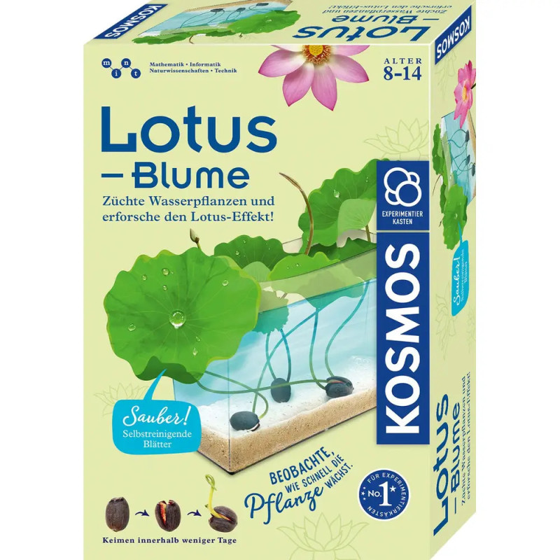 Kosmos Lotus-Blumen-Zuchtset für 8-14 Jahre, mit Abbildung einer Lotusblume im Wasser auf der Verpackung. Kosmos Lotus-Blumen-Zuchtset für 8-14 Jahre, mit Abbildung einer Lotusblume im Wasser auf der Verpackung.