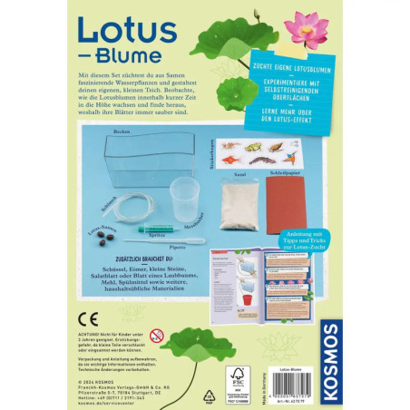 Lotusblume