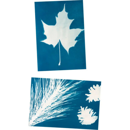Sonnendruck-Papier - Nature Zoom