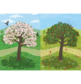 Oh, wie schön ist unser Jahr! - Entdecke 140 besondere Wörter