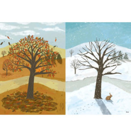 Oh, wie schön ist unser Jahr! - Entdecke 140 besondere Wörter