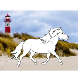 Traumpferde-Malbuch: Strand & Meer - Pferdefreunde