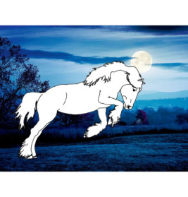 Traumpferde-Malbuch: Wilde Natur - Pferdefreunde