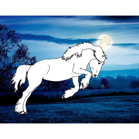 Traumpferde-Malbuch: Wilde Natur - Pferdefreunde