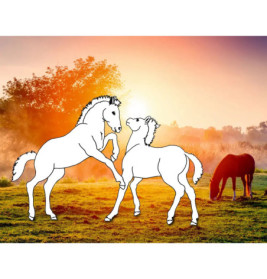 Traumpferde-Malbuch: Wilde Natur - Pferdefreunde