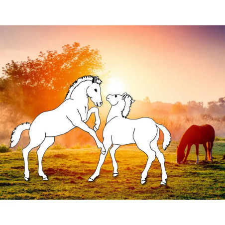 Traumpferde-Malbuch: Wilde Natur - Pferdefreunde