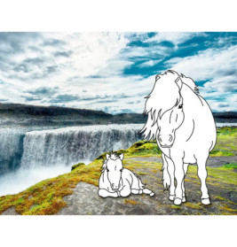 Traumpferde-Malbuch: Wilde Natur - Pferdefreunde