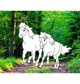 Traumpferde-Malbuch: Wilde Natur - Pferdefreunde