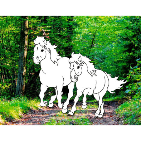 Traumpferde-Malbuch: Wilde Natur - Pferdefreunde