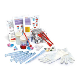 Galileo - Kristalle selbst züc hten